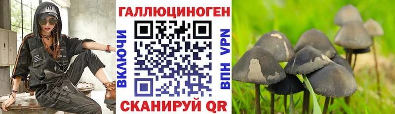 Галлюциногенные грибы прущие грибы  Купить закладки  Никольское 